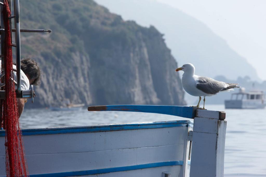 Taverna Del Capitano Marina del Cantone Dış mekan fotoğraf